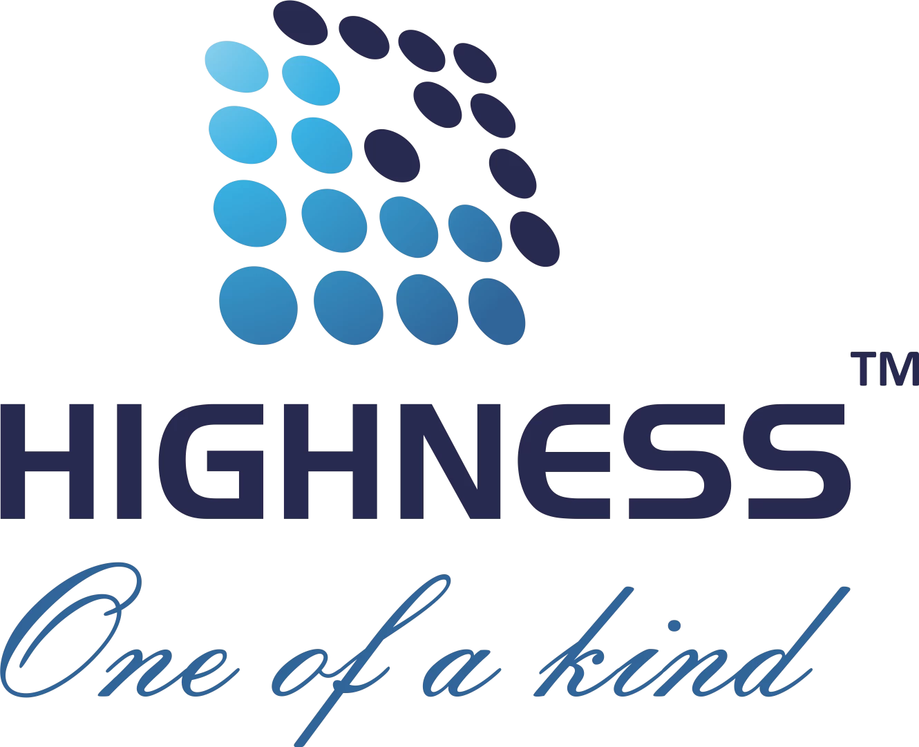 HIGHNESS MICROELECTRONICS PVT.LTD